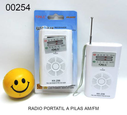 Imagen de RADIO PORTATIL A PILAS AM/FM 12.24